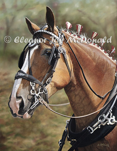 Big Belgian | oil painting, Belgian horse, class: draft horses 