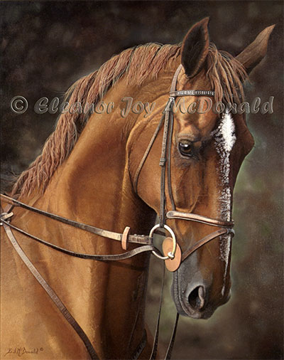 BIG BEN | One of Canada's show jumping horses, oil painting