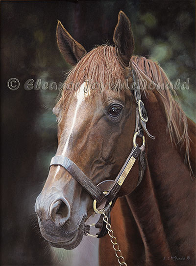 Golden Years | Oil painting of Secretariat, horse racing wonder 