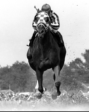 Movie on Secretariat to be released in fall of 2010!