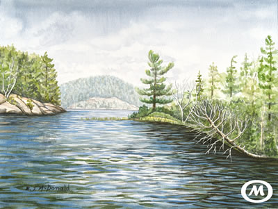 Port Sydney Point | Watercolor painting of a Muskoka lake