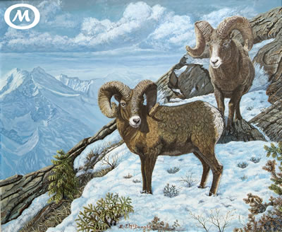 Highland Horns | Wildlife painting, bighorn sheep on slopes