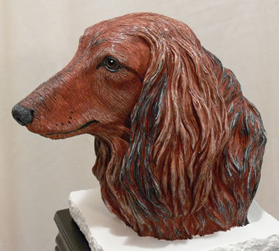 Left view - Miniature Long-haired Dachshund