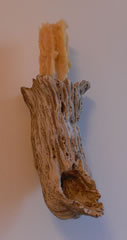Driftwood Sconces